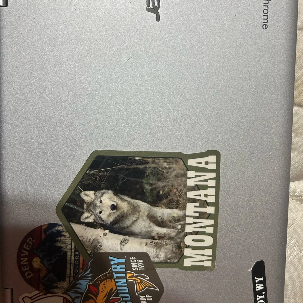 Acer Chromebook - Black and Silver
